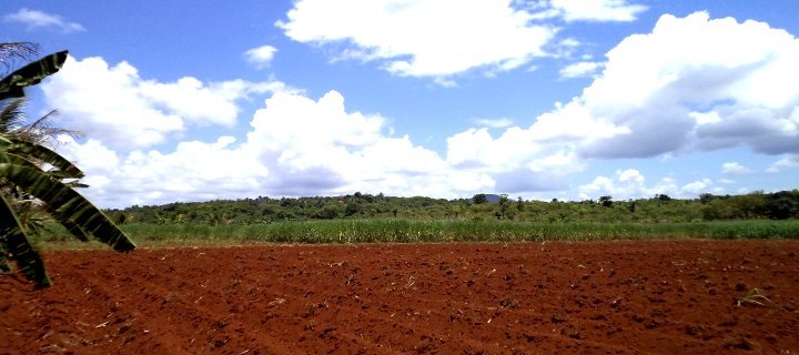 Farmers Federation Goa