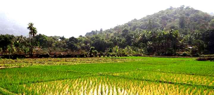 Farmers Federation Goa