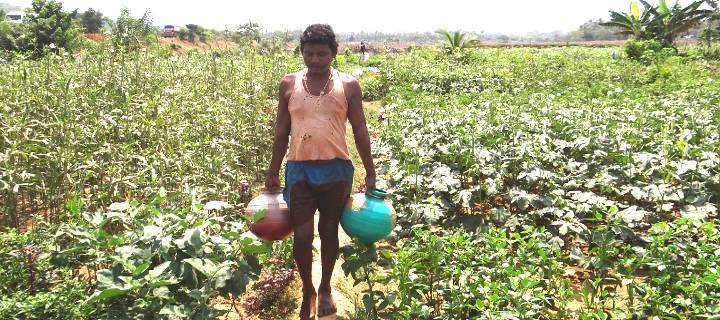 Farmers Federation Goa