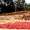 Farmers Federation Goa