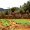 Farmers Federation Goa
