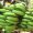 Farmers Federation Goa
