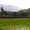 Farmers Federation Goa