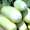 Farmers Federation Goa