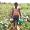 Farmers Federation Goa